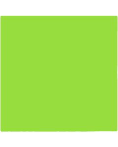 Chromacolour Animation Cel Paint - Green 56 - Vinyl animation colour