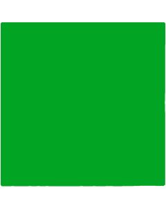 Chromacolour Animation Cel Paint - Green 54 - Vinyl animation colors