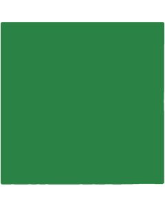 Chromacolour Animation Cel Paint - Green 50 - Vinyl cartoon paint colour